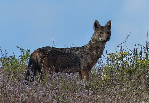 Voyage en Éthiopie, à travers une terre de contrastes extraordinaire